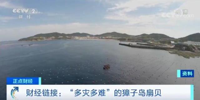 多家公司业绩预亏后 深交所发函关注