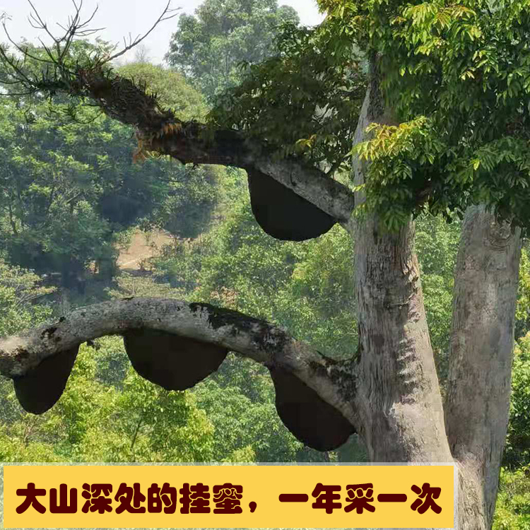 蜂巢能源今年一季度表现亮眼的背后――洞察变化 果断决策 迅速行动