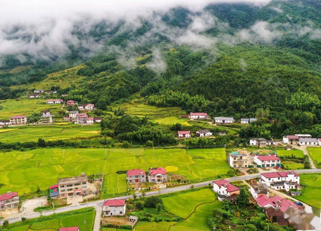 记者手记：“三界碑”乡村旅游联盟里看协同