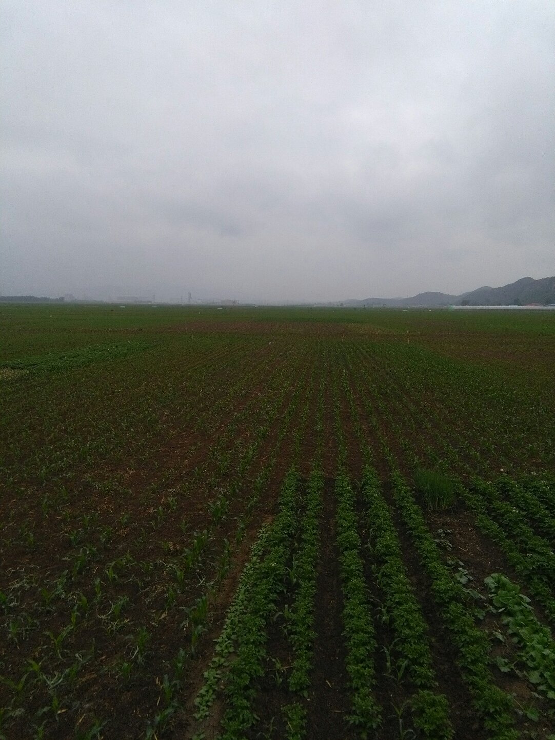 新华全媒+｜辽宁省建昌县受灾较重乡镇黑山科乡见闻