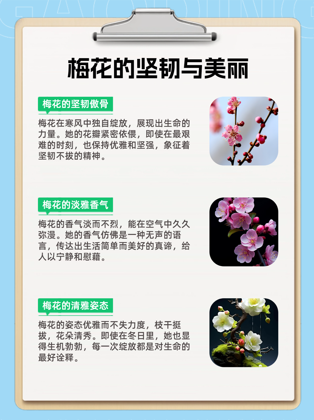 以健康、幸福、美丽为笔，绘就她绽放的力量