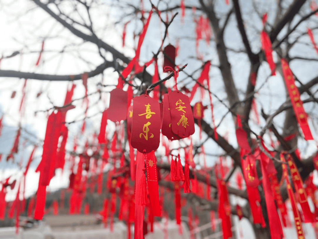云南大理：春樱与非遗邀您共赴“春日之约”