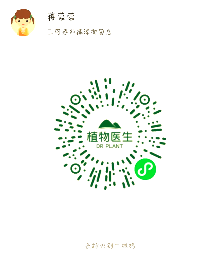 从护肤到护林：国货领军品牌植物医生的生态征程